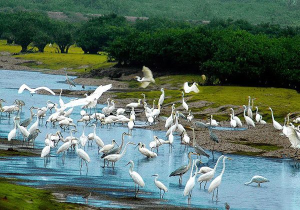 Bird Watching in Thung Nham