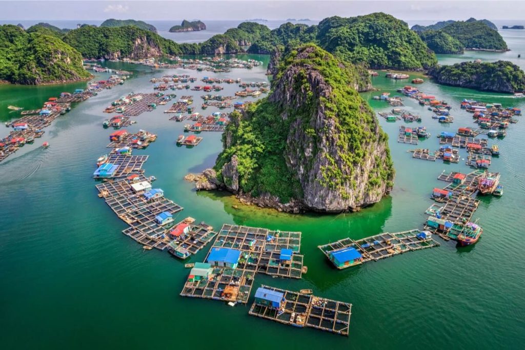 Top 5 Unique Floating Fishing Villages in Halong Bay Vietnam