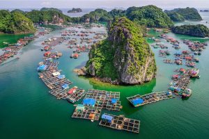 Top 5 Unique Floating Fishing Villages in Halong Bay Vietnam