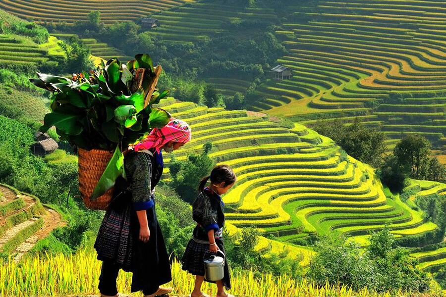 Top 5 beautiful villages in Sapa that make you want to explore immediately