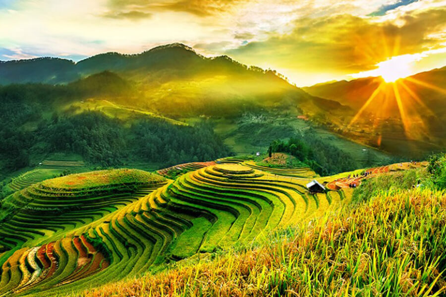 Top 5 places to view the most beautiful terraced rice fields in the North Vietnam