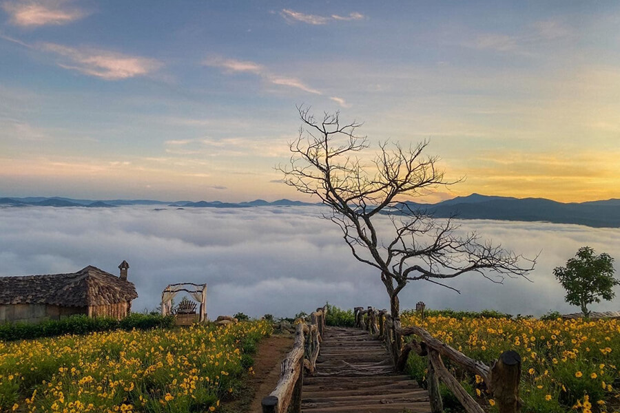 Top 8 most worth experiencing cloud-hunting spots in Northern Vietnam