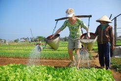Tra Que farming vietnam tour