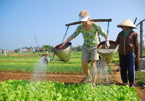Tra Que farming - Hanoi Local Tours