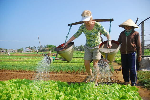 Tra Que farming - Hanoi Local Tours