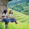Treasure of Northern Vietnam