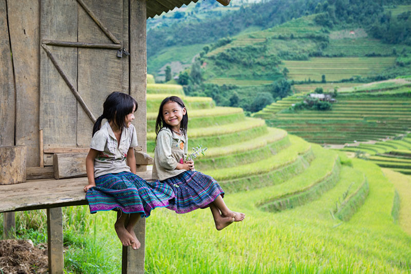 Treasure of Northern Vietnam