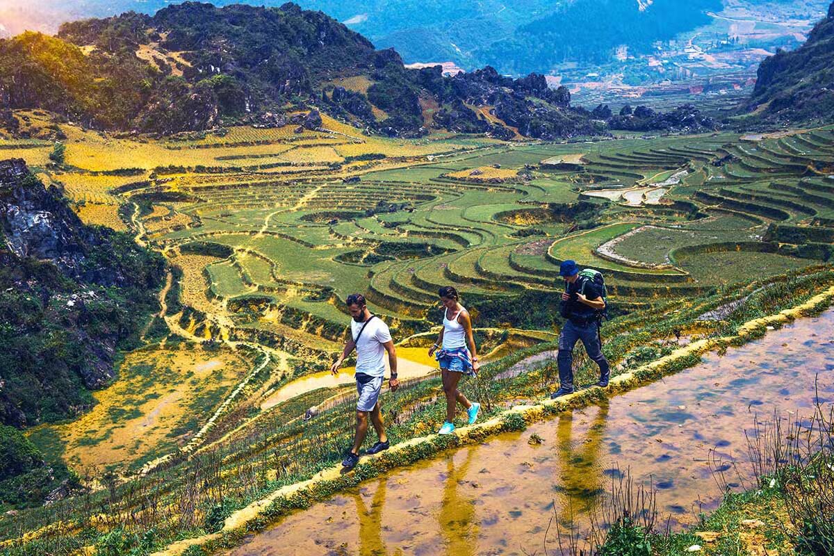 Trekking Through Rice Terraces in Nam Cang Village