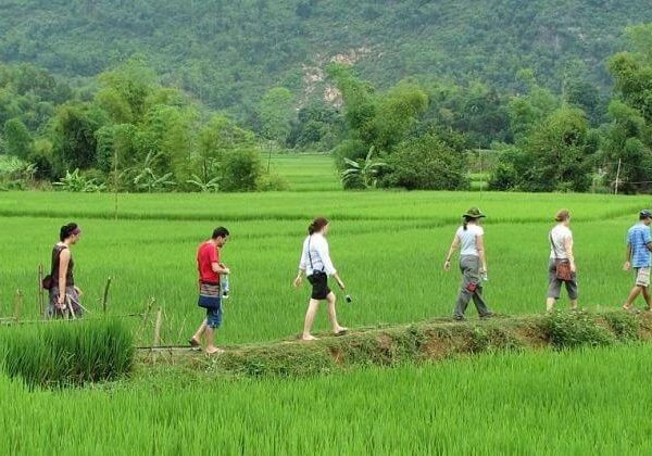 Trekking in Mai Chau - Hanoi tour packages