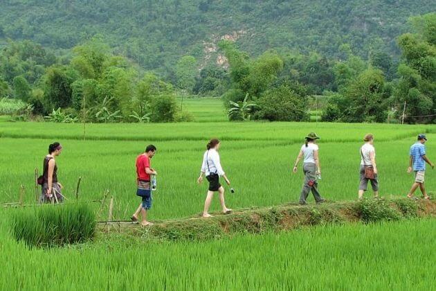 Trekking in Mai Chau - Hanoi tour packages