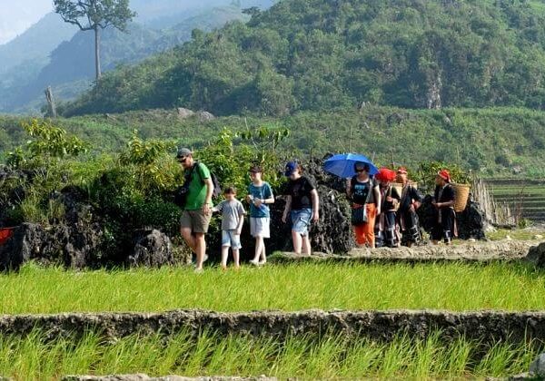 Trekking in Ta Chai Village - Hanoi Tour Packages