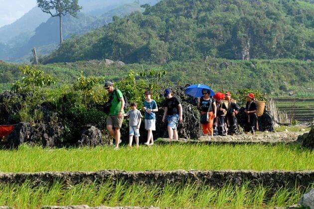 Trekking in Ta Chai Village - Hanoi Tour Packages