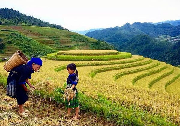 Tribal Villages in Sapa Tours