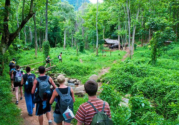 Cuc Phuong National Park - Hanoi local tours