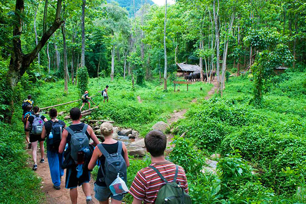 Cuc Phuong National Park - Hanoi local tours