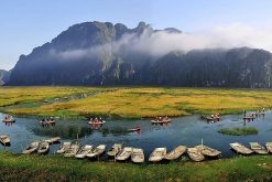 Van Long Nature Reserve