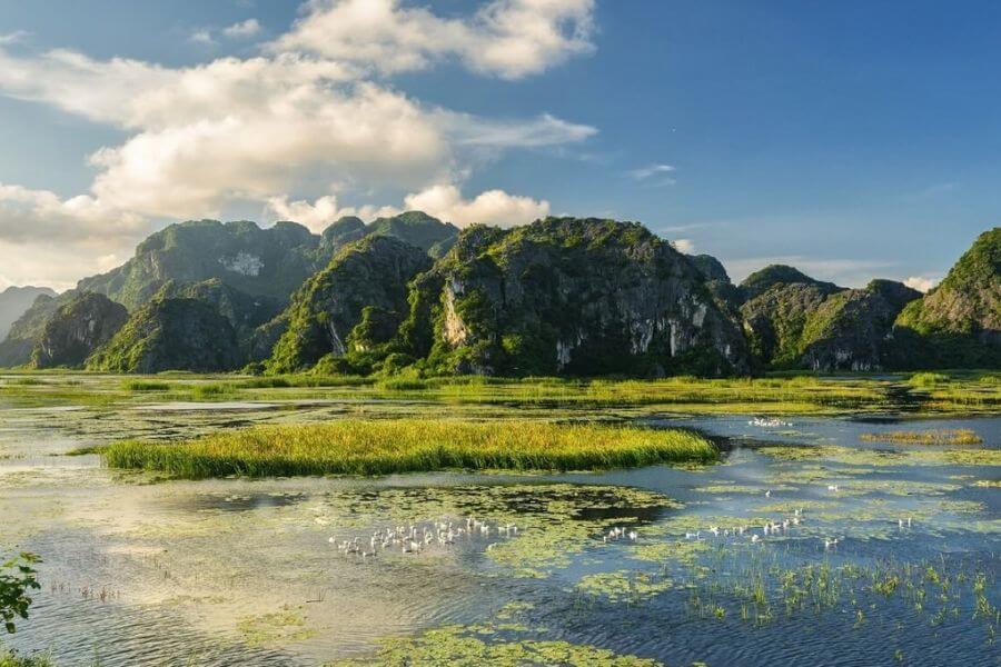 Van Long Nature Reserve - Complete Guide To The Peaceful Wetland Escape in Ninh Binh Vietnam