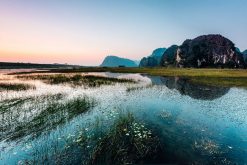 Van Long Nature Reserve in Ninh Binh