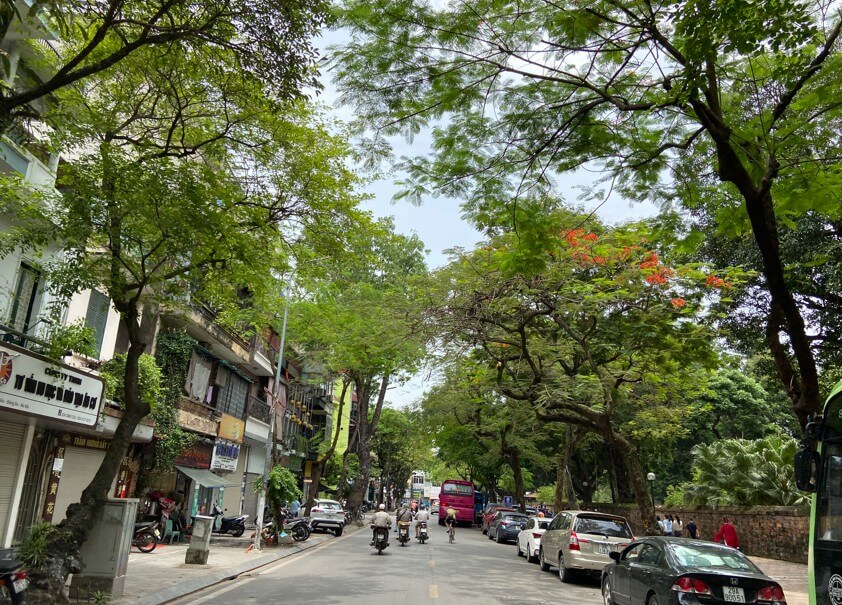 Van Mieu Street Ha Noi