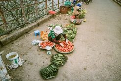 Market on Long Bien Bridge