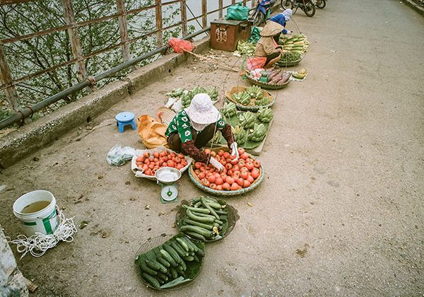 Market on Long Bien Bridge Hanoi tour packages