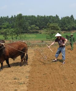 Visit Ky Son Village with Hanoi Local Tour