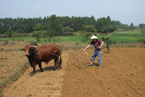 Visit Ky Son Village with Hanoi Local Tour