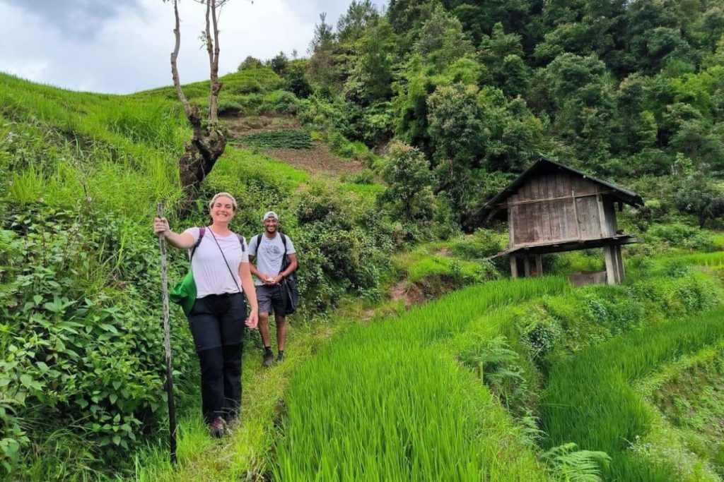 Visit Sin Chai Village Sapa through the rice terraces