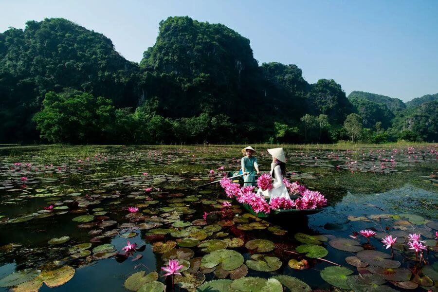Why Is Van Long Ninh Binh Worth Visiting