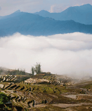 Ta Xua Nature Reserve - Hanoi local tours