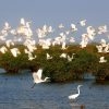 Xuan Thuy National Park in Exotic Nam Dinh 2 Days 1 Night - Hanoi Day Tours