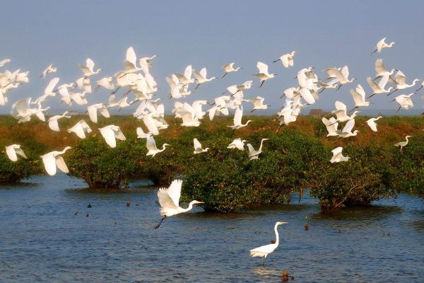 Xuan Thuy National Park Nam Dinh - Exclusive Vietnam Discovery Tour in 5 Days