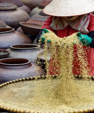 ban-yen-nhan-soy-sauce-village-hanoi-local-tour