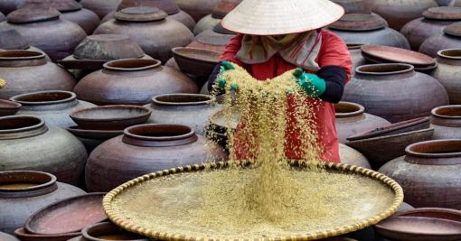 ban-yen-nhan-soy-sauce-village-hanoi-local-tour