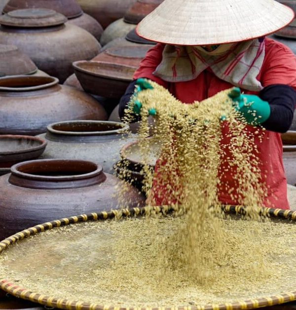 ban-yen-nhan-soy-sauce-village-hanoi-local-tour