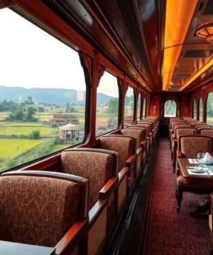 enjoy a refined lunch, harmoniously blending traditional Vietnamese flavors with international cuisine