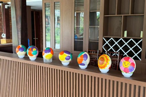 experience in ostrid farm - Hanoi Tours