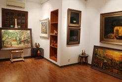 gallery-6