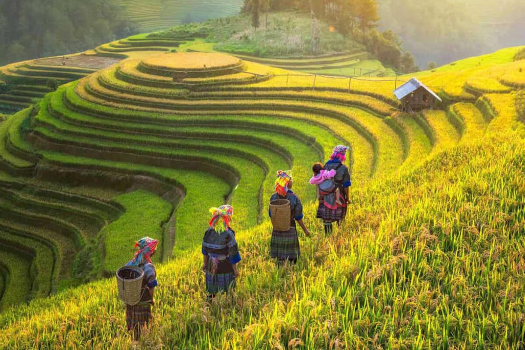 hanoi to ban gioc waterfall tour - hanoi local tour
