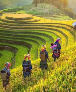 hanoi to ban gioc waterfall tour - hanoi local tour