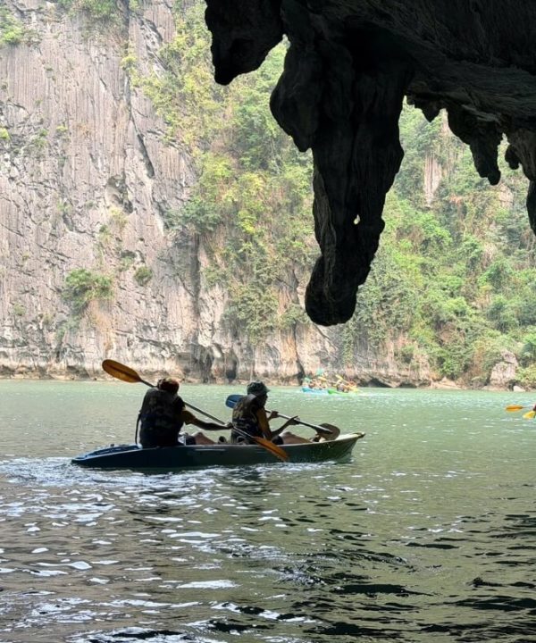kayaking in Hanoi to Halong Bay tours with Luxury Cruise & Indian Dining Experience - 2 Days