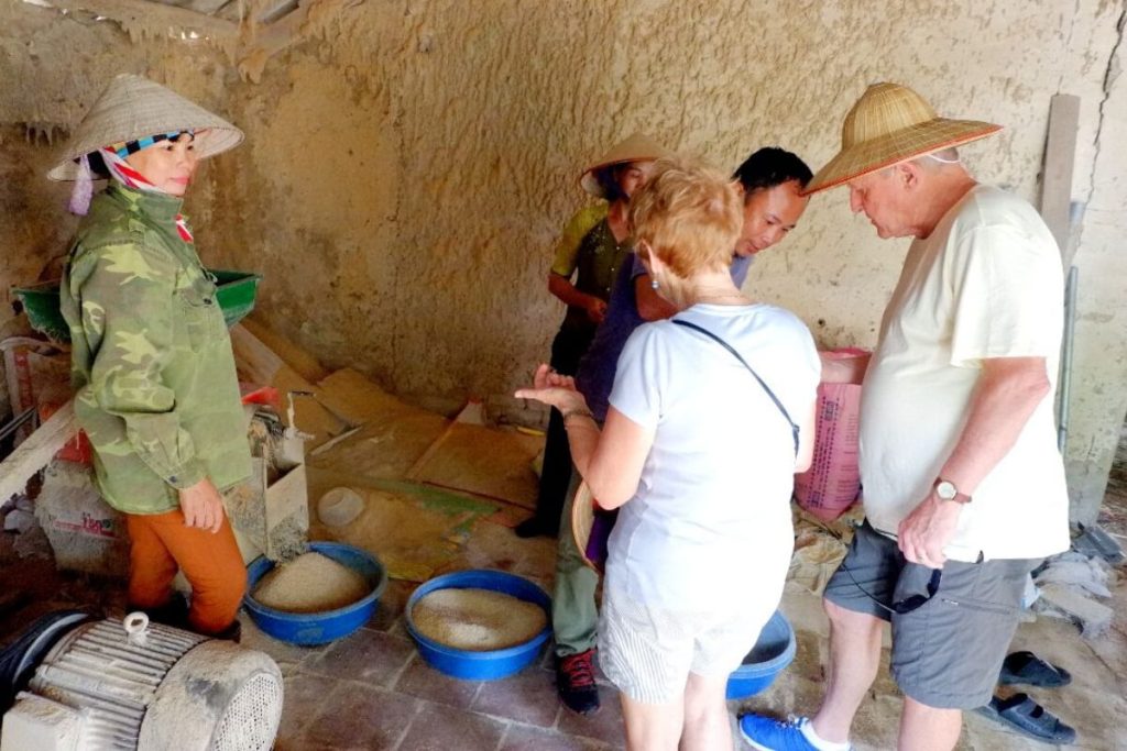 learn how to make rice in Vietnam - Bavi Eco Tour