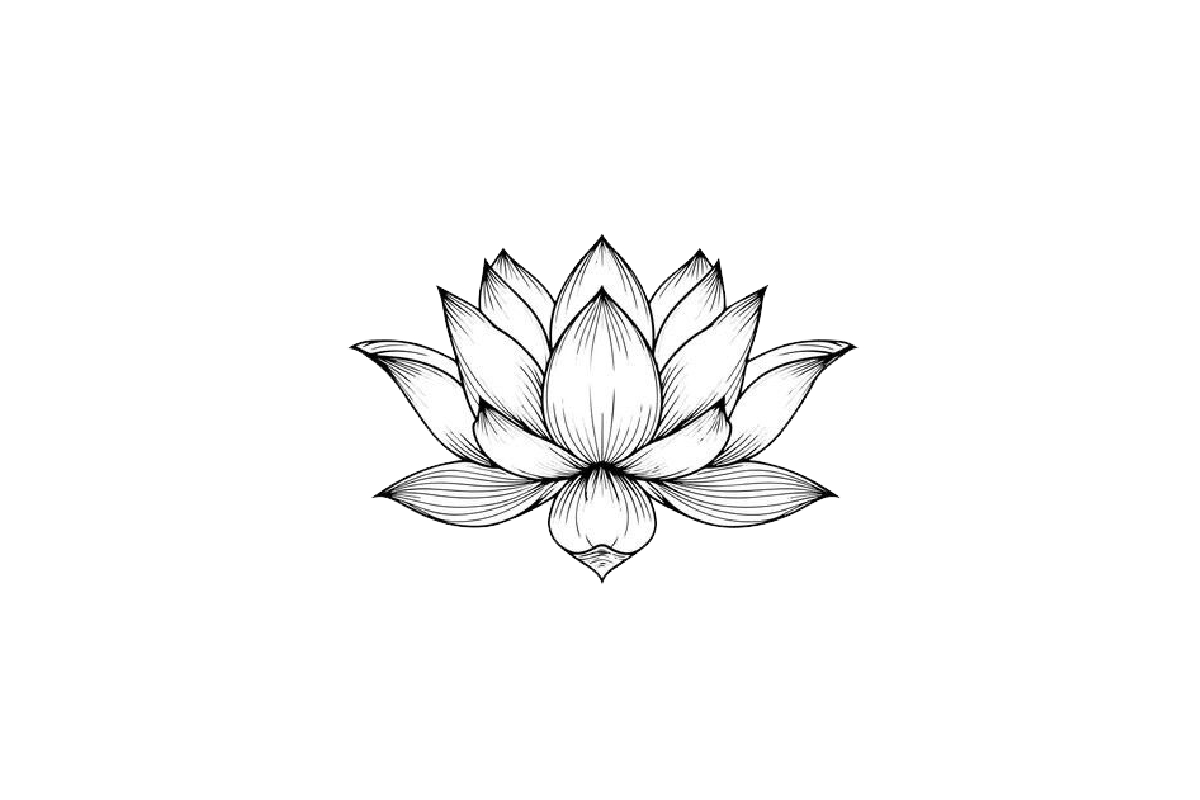 lotus flower - Hanoi Tours