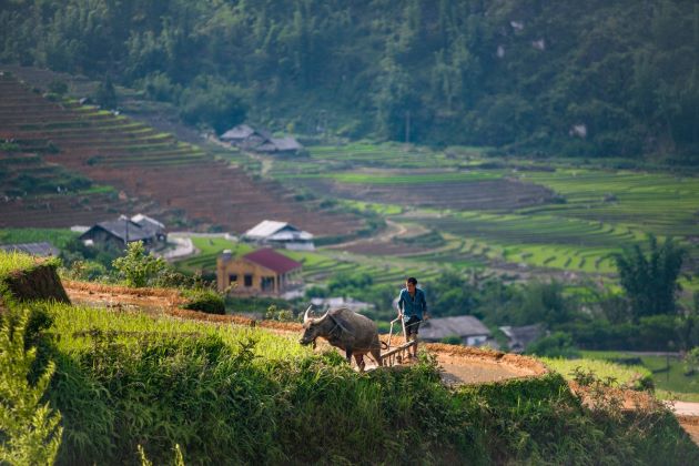 sapa tours from hanoi