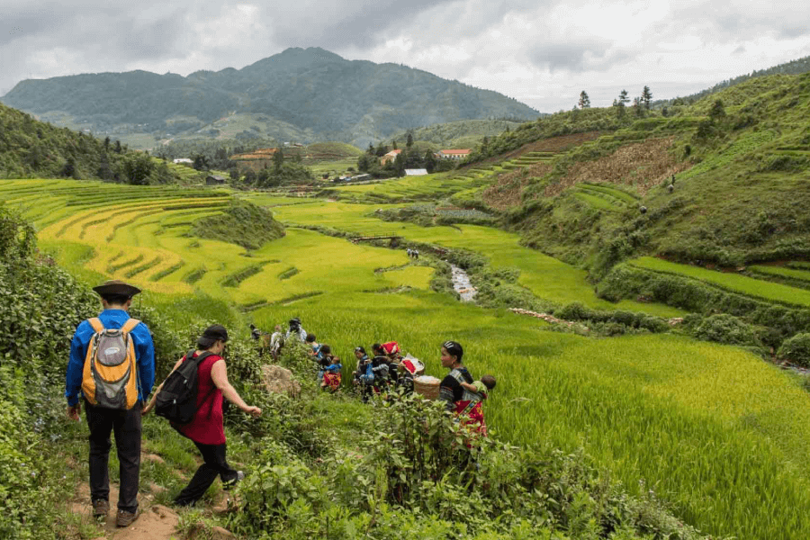 trekking in Sapa involve in Hanoi Vietnam packages deals