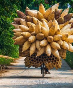 visit Thu Sy Fish Trap Village in Hanoi Day Trip