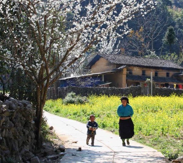 visit ha giang in day trips hanoi