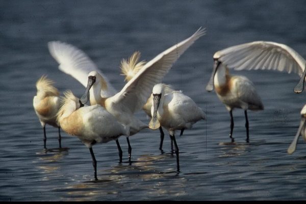 xuan thuy national park in Exotic Nam Dinh 2 Days 1 Night  - hanoi local tour